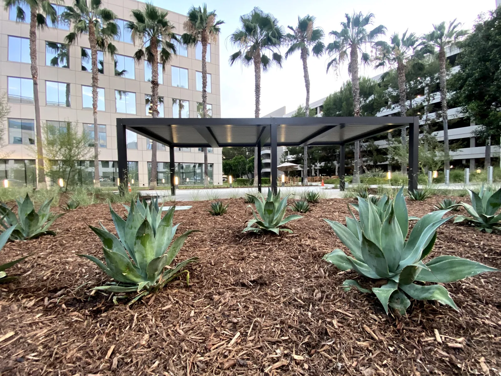 Black pergola in a landscaped plaza outside an office building